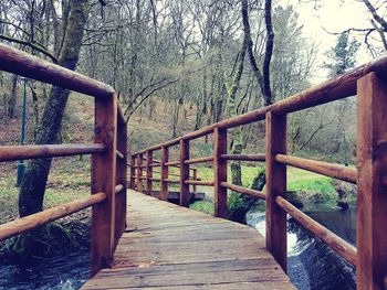 Footbridge in forest
