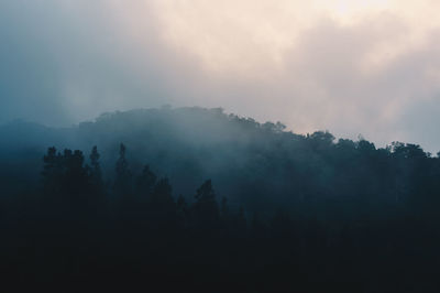 Silhouette trees in forest against sky