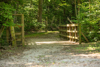 Wooden gate in forest