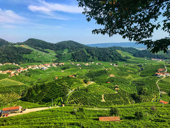 Scenic view of prosecco hills in italy