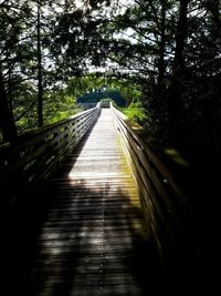 View of bridge in forest