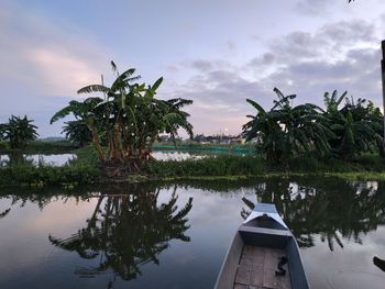 Palm trees by lake against sky during sunset