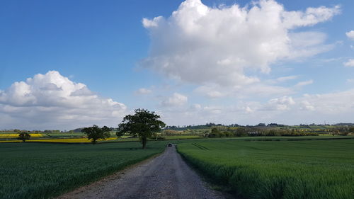 Empty road amidst field against sky