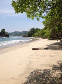 Scenic view of beach