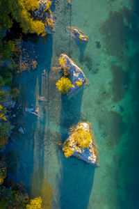 Aerial view of sea