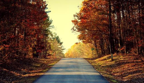 Road passing through forest