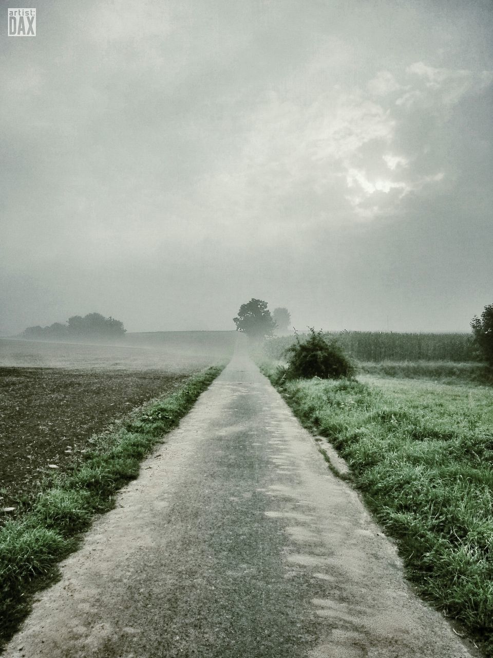 the way forward, sky, diminishing perspective, grass, water, tranquil scene, tranquility, vanishing point, sea, cloud - sky, road, horizon over water, nature, scenics, beauty in nature, cloudy, landscape, cloud, field, empty