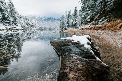 Frozen lake amidst trees in forest during winter