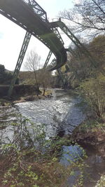 View of river with trees in background