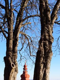 Low angle view of bare tree against blue sky