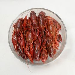 High angle view of seafood in plate