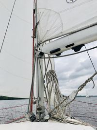 Sailboat sailing in sea against sky