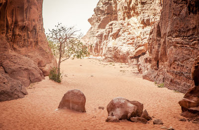 View of a rock formation