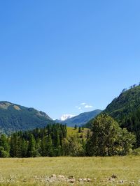 Scenic view of landscape against clear blue sky