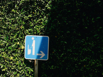 Close-up of road sign against plants