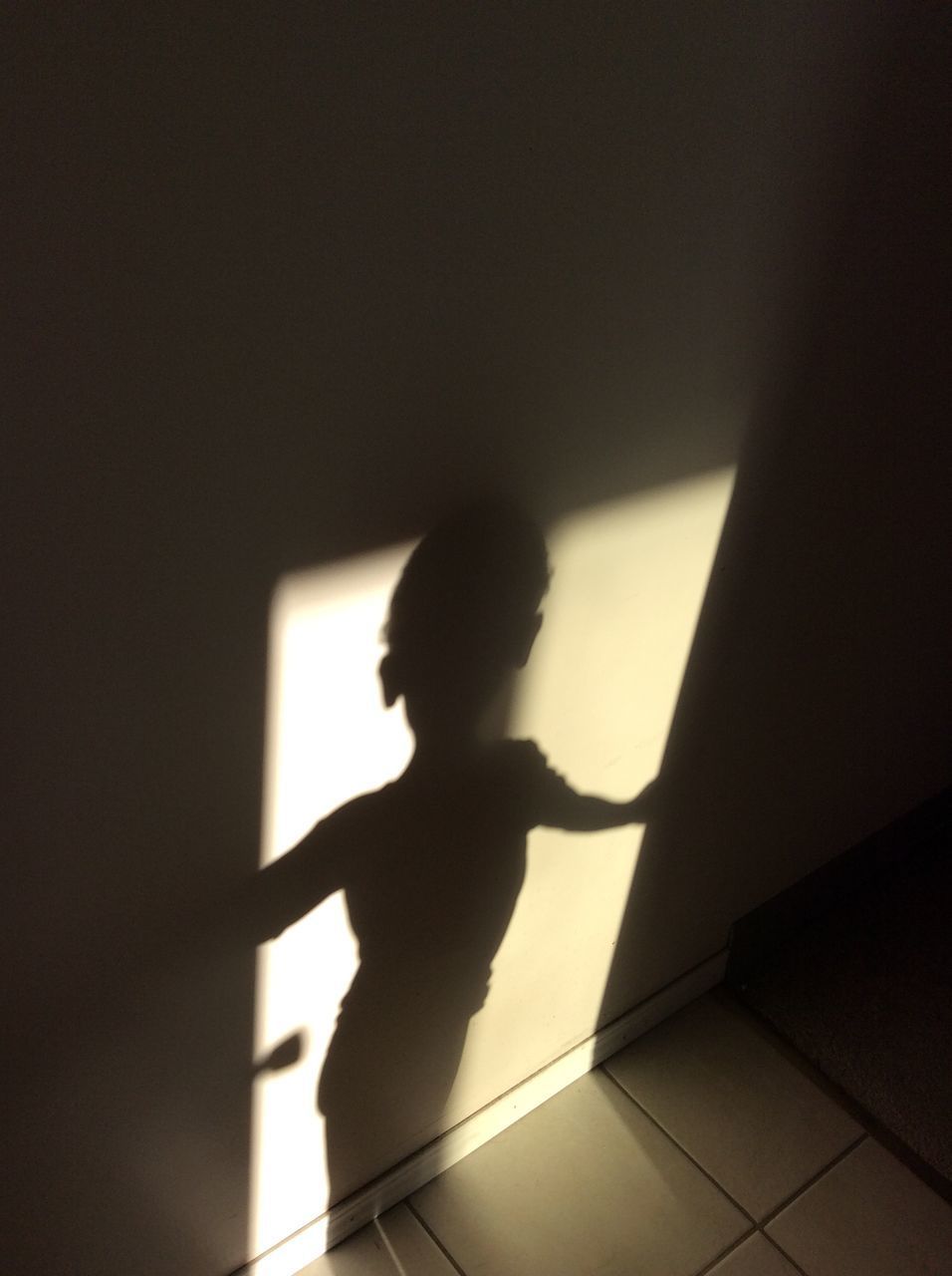 SILHOUETTE BOY STANDING BY SHADOW ON HAND AT HOME