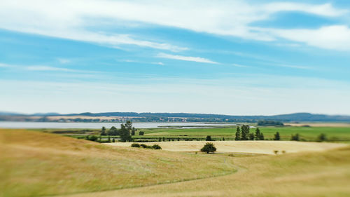 Scenic view of grassy field against sky