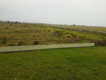 Scenic view of field against clear sky