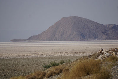 Scenic view of desert against sky