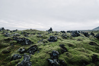 Scenic view of land against sky