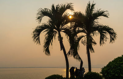 Silhouette palm trees against sky during sunset