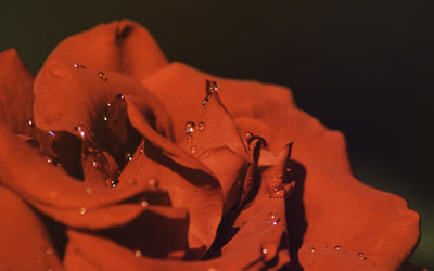 Extreme close up of wet glass