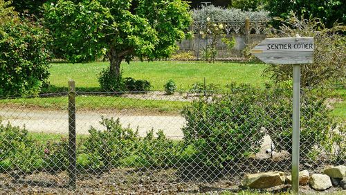 View of sign by trees