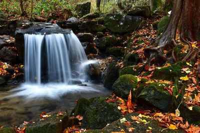 Waterfall in forest