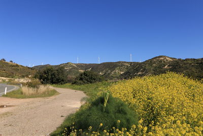 Scenic view of landscape against clear blue sky