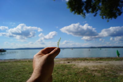 Close-up of hand holding plant against sea