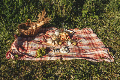 High angle view of basket on field