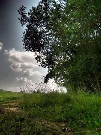 Scenic view of grassy field against cloudy sky