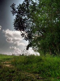 Scenic view of grassy field against cloudy sky