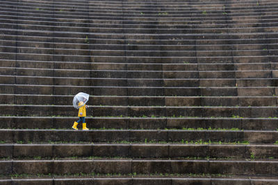 Rear view of man walking on staircase