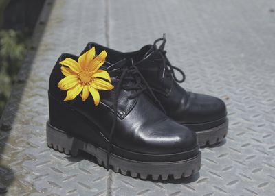 High angle view of black and white rose