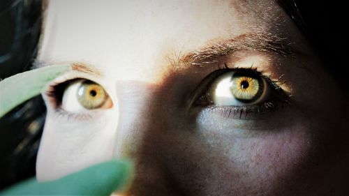 Close-up portrait of human eye