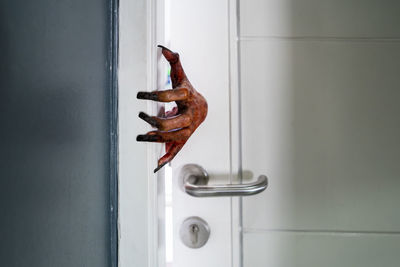 Close-up of zombie hand at door