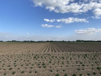 Scenic view of field against sky