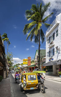 Cars on road by palm trees and buildings in city against sky