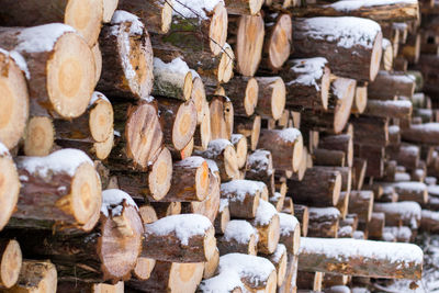 Stack of logs in winter