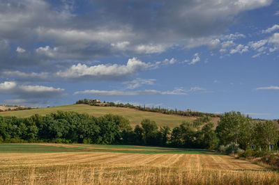 Scenic view of agricultural field against sky