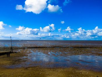 View of calm beach against blue sky