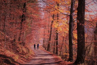 Man and woman walking in forest during autumn