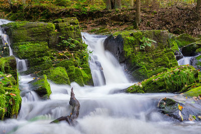 Waterfall in forest