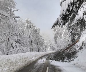 Snow covered landscape against sky