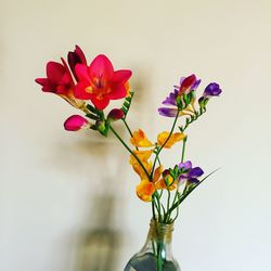 Close-up of flowers against blurred background