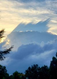 Low angle view of silhouette trees against sky