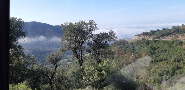 Panoramic view of trees and mountains against sky