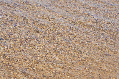 Full frame shot of pebbles on beach