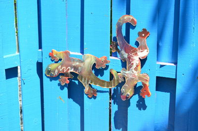 Close-up of animal representation